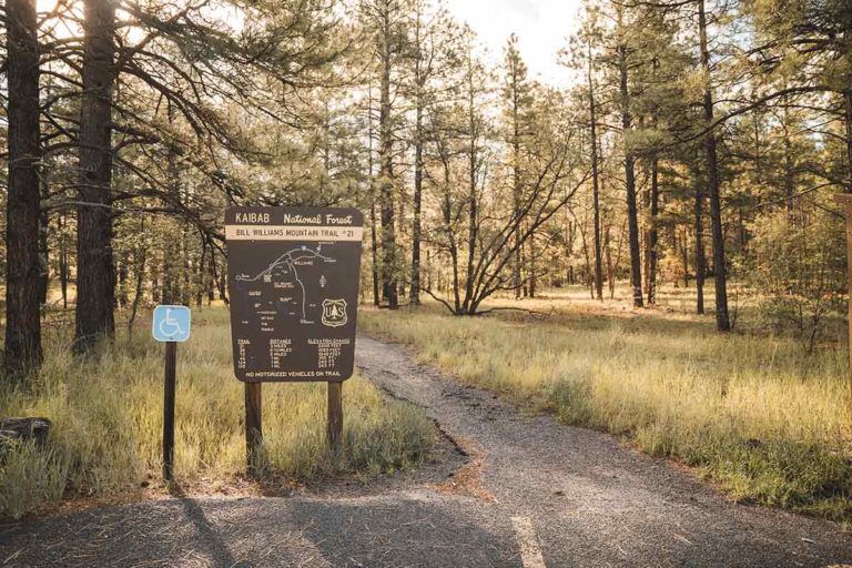 7 Hikes In Williams Arizona: Guide To The Best Trails