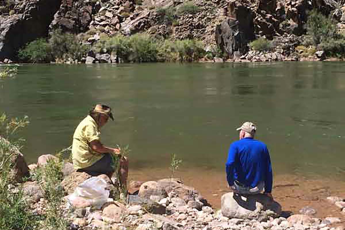 Tours to The Bottom Grand Canyon