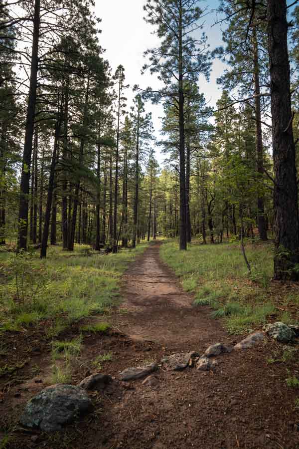 Hikes in Williams Arizona - Clover Springs Loop Trail