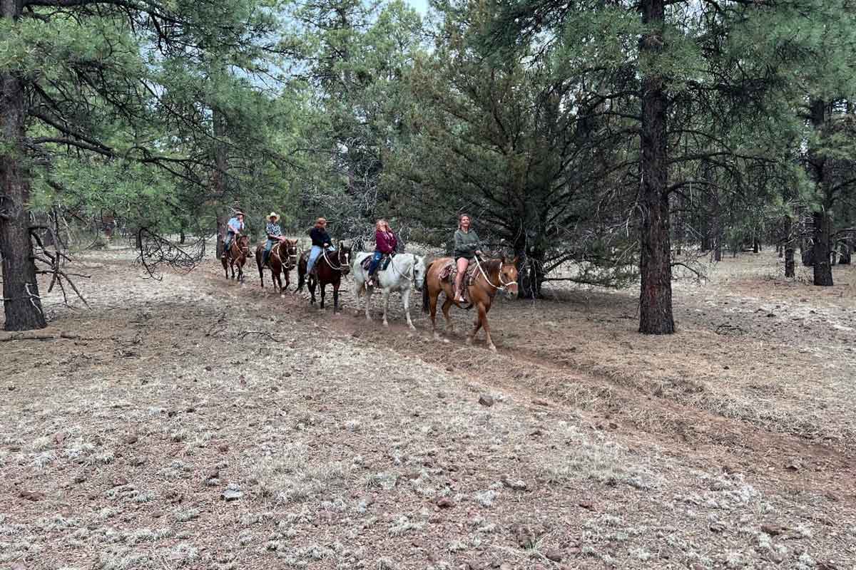 MD Ranch LLC AZ - Horseback Riding Williams