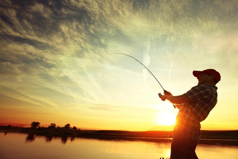 Where to Fish in Williams: Best Stocked Lakes