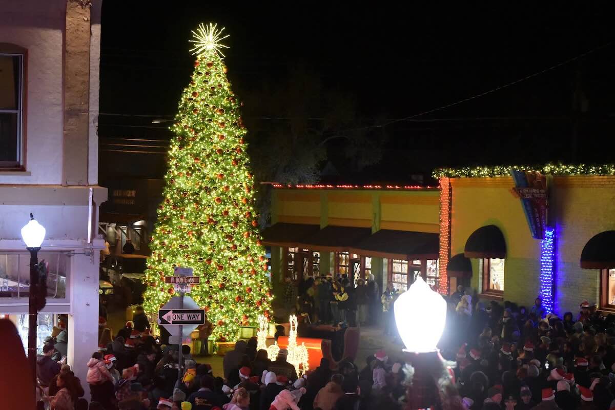 Tree-Lighting-Williams-Arizona